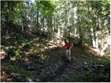 Ledine - Planina Klom